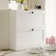 Shoe Storage Cabinet with 2 Flip Drawers