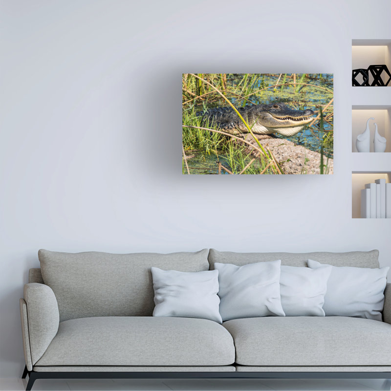 Art sur toile par Robert Michaud «Gator 1», H 30 po x l 47 po x P 2 po