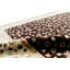 Oriental Indoor Rug