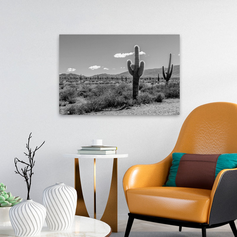 Plantes, fleurs, paysage, nature, cactus argentin, art mural, H 16 po x l 24 po