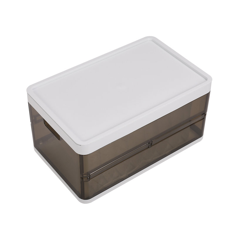 Rebrilliant Plastic Storage Tub & Tote