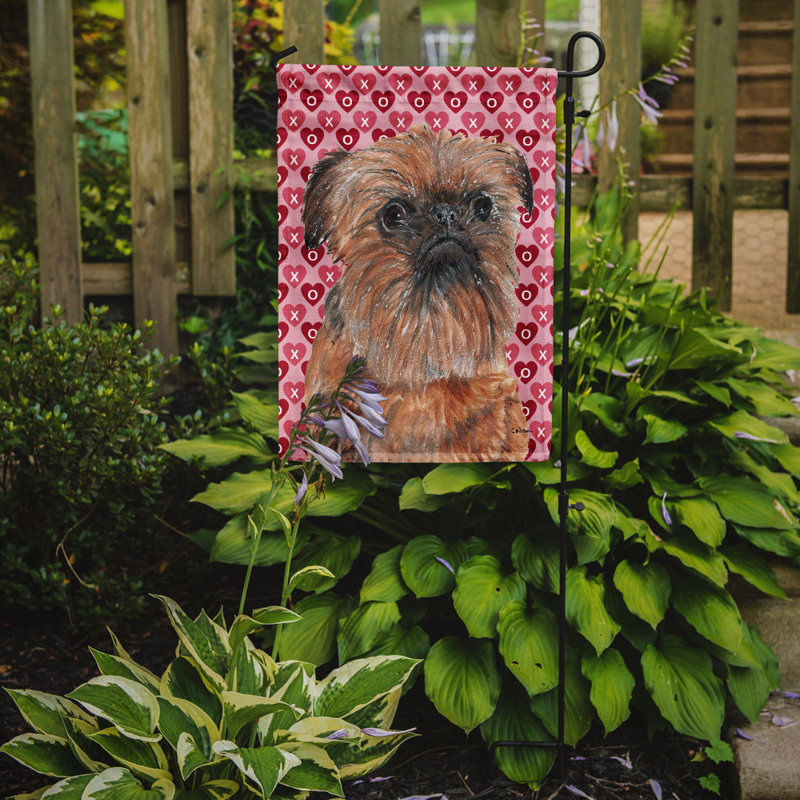 Drapeau de jardin à 2 côtés Avariella Cooper Love and Hearts, Griffon bruxellois (brun et gris)