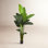 Palm Tree in Planter