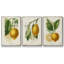 Watercolor House Plant IV, ensemble de 3 pièces encadrées sur toile-97946683-97946682
