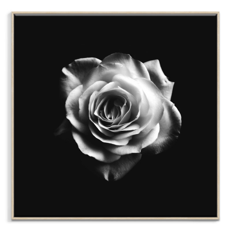 Print on Canvas, Wrapped Canvas, 41cm H x 41cm W