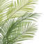 50 plantes