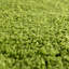 Tapis vert Renesha-1948829511