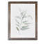 « ethereal eucalyptus ii »-impression du cadre sur verre-316484413-316484414