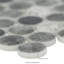 Montessa Penny Round 12 in. x 12 in. Glossy Glass Mosaic Wall Tile-1994710559