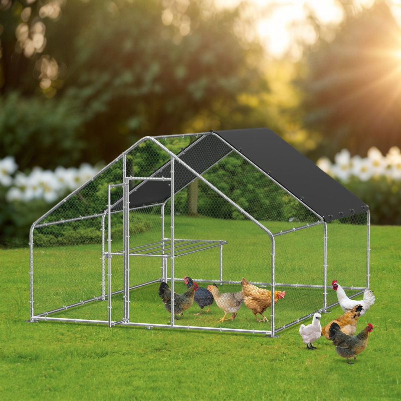 Swanscombe Chicken Run