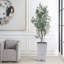 Olive Sonora Uttermost dans un pot à fleurs