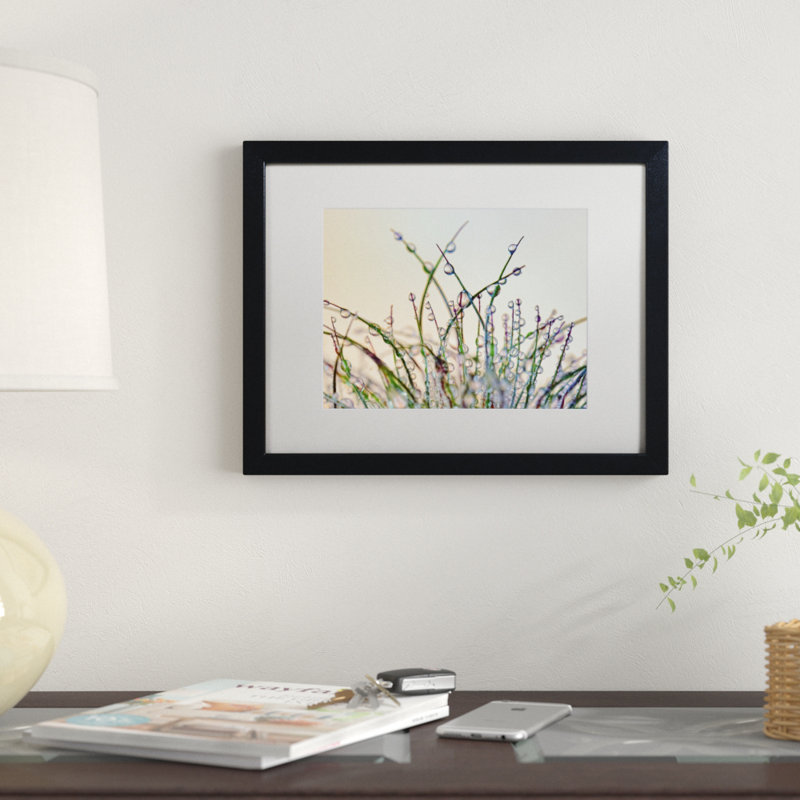 «Dewy Grass», reproduction de photo sur toile encadrée, H 11 po x l 14 po x P 0,5 po, Noir
