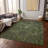 Machine Washable Indoor/Outdoor Chayil ACN1082 Olive Rug-109483891