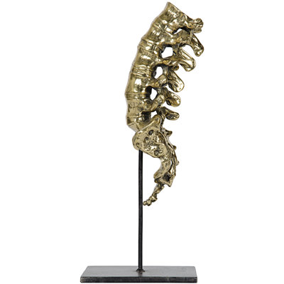 Vertabrae Figurine