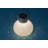 Nereus 5.5'' Solar Powered Integrated LED-1577585916