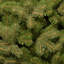 The Holiday Aisle® Downswept DouglasFir Tree with Dual Color LED Lights-2124600378-2113685798