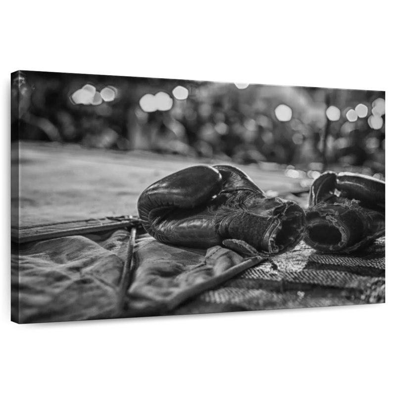 Sireci Worn Boxing Gloves, 16" H x 24" W