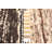 Sienna Brown Rug 5'4" x 7'11"