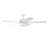 Medberry 60'' Ceiling Fan with LED Lights-53080160