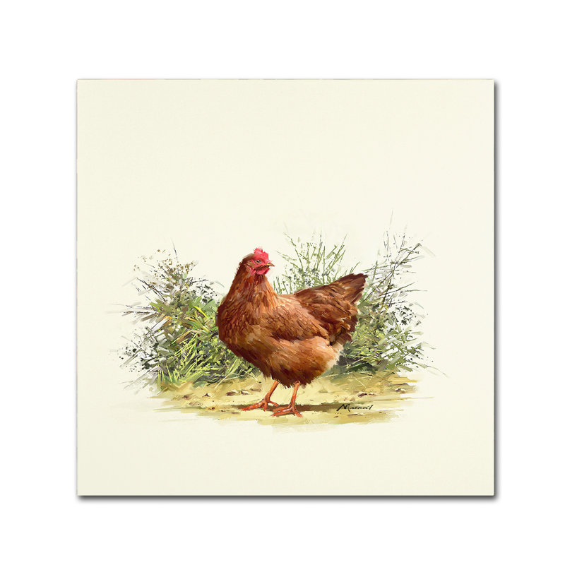 Armand 'Hen' Print on Canvas, 35" H x 35" W x 2" D