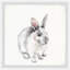 «Mokane Fluffy Little Bunny», reproduction encadrée-457624762