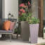 Plastic Pot Planter-1752720818-1752720820