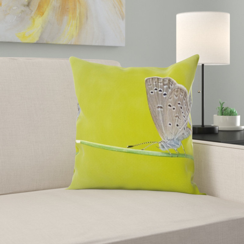 Housse et insert de coussin carré papillon