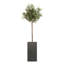 Baker Fibreglass Planter-14486231-26335893