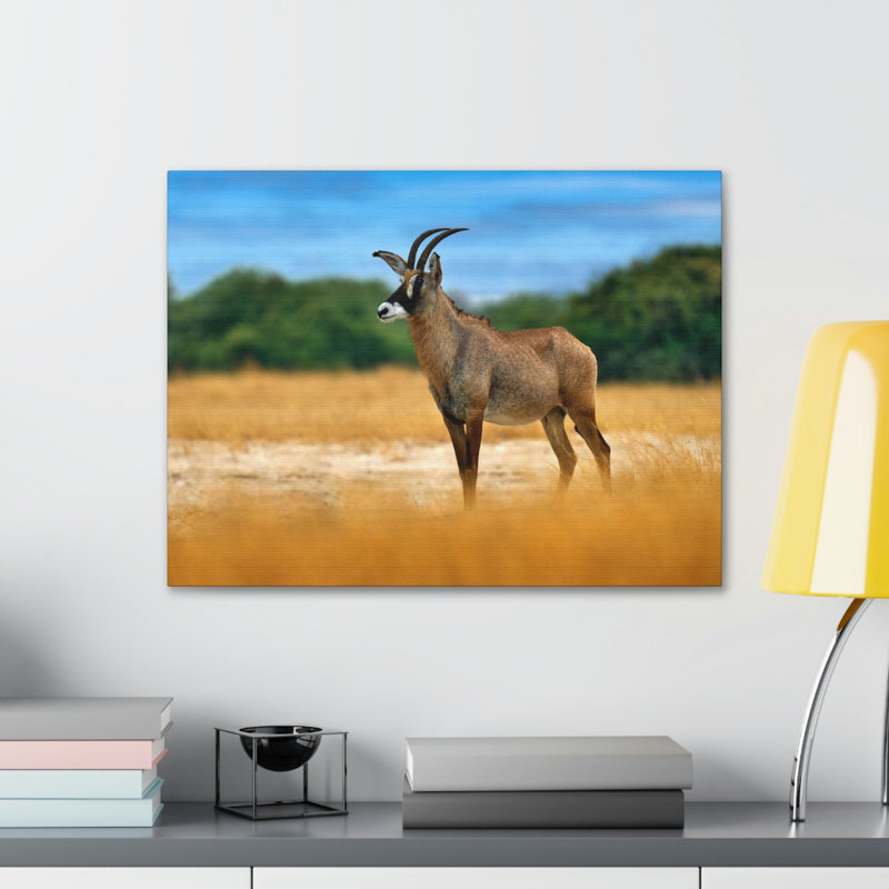 No Frame Print on Canvas