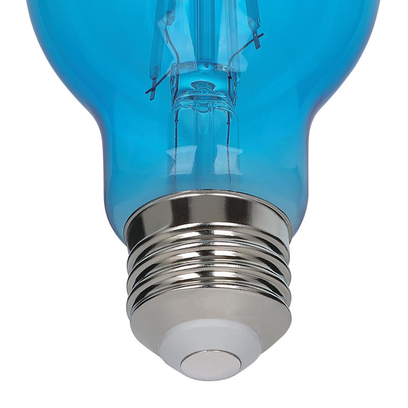 Ampoule DEL à filament omnidirectionnel bleu A19, 4,5 W (équivalent 40 W), culot moyen (E26), lot de 2, Blue, Pack of 2