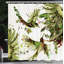 Ensemble de rideau de douche et crochets Hummingbird-95077582-95077586