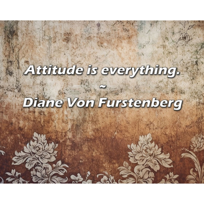 Diane Von Furstenberg Quote: Attitude is everything.
