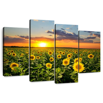 Alvord Blooming Sunflowers