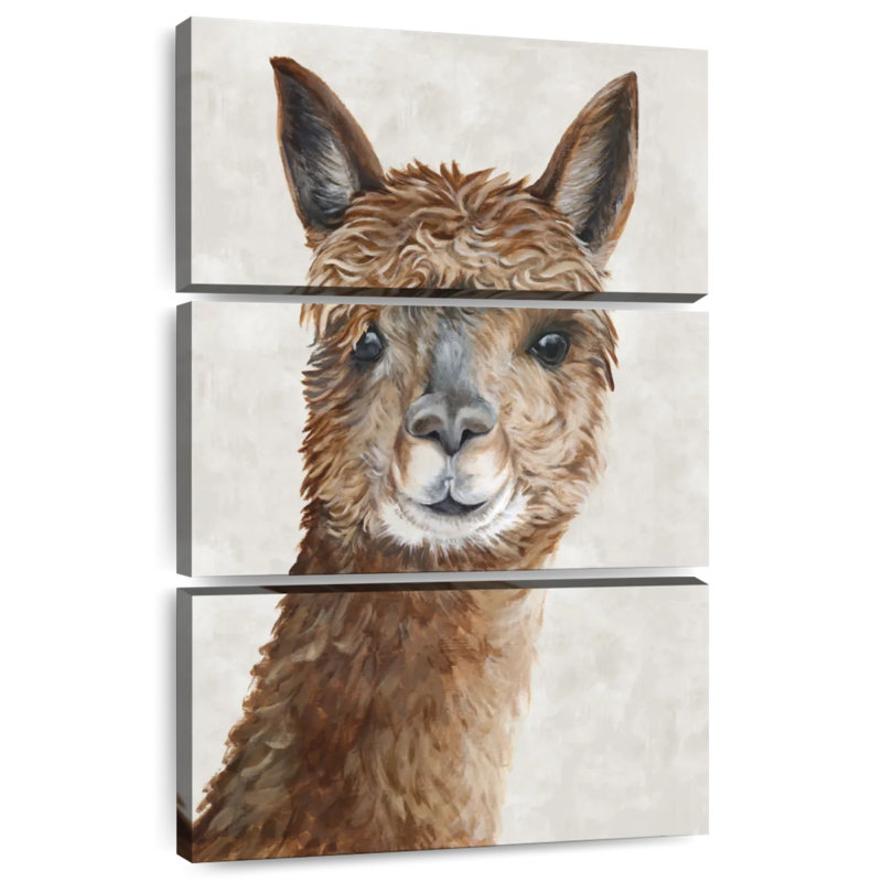 Brampt Suri Alpaca II, H 38 po x l 24 po