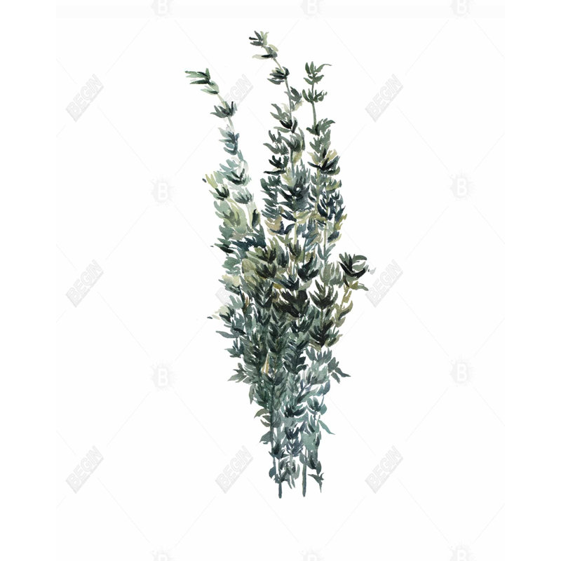 Thyme Leaves Bundle Print On Canvas