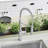 Catris Semi-Pro Pull-Down Dual-Spray Kitchen Faucet-38457389