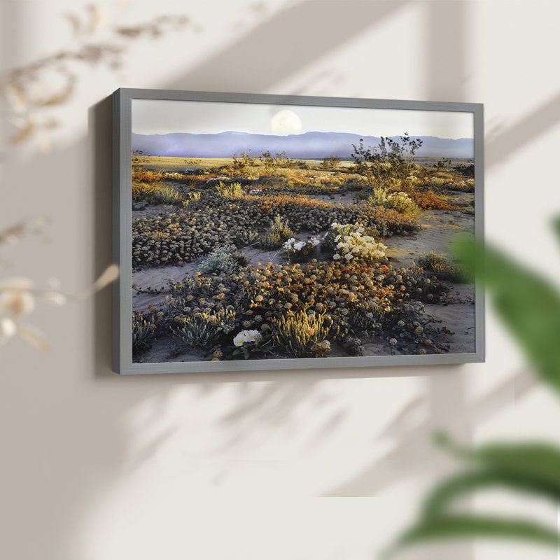 Anza Borrego - impression encadrée - réaménageable, H 16 po x l 20 po, Gris