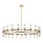 Revolve 42 - Light Chandelier-63492113