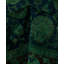 Overdyed Hand-Knotted Wool Modern-Contemporary Green Area Rug 8' 1" x 8' 1"