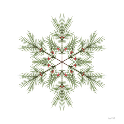 Evergreen flocon de neige IV