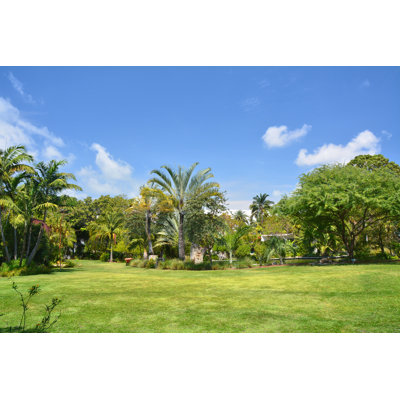 Botanical Garden - Photographie sur toile tendue