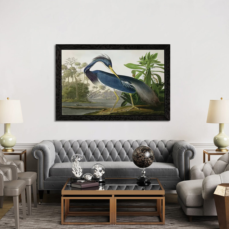 Louisiana Heron by John Audubon - Gallery-Wrapped Canvas Giclee on Canvas, 152.5 cm H x 101.5 cm W, Black Framed