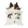 Charline Cowhide Animal Print Indoor Rug