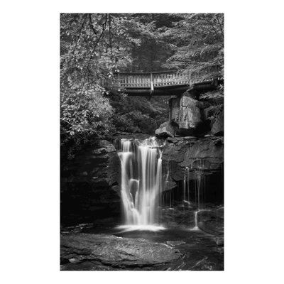 " Elakala Falls West II BW " by Alan Majchrowicz