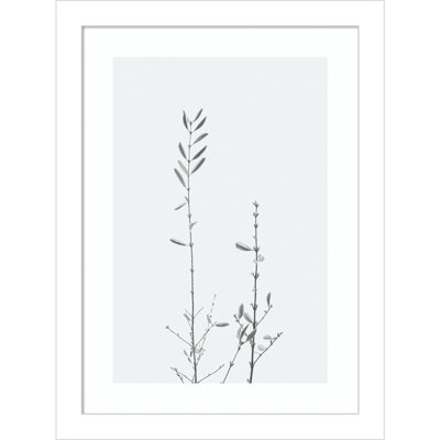 Adela Retro Tennessee Botanical Print No 2 Framed On Paper by Adela Photograph