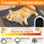 Pet Bed Cushion