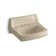 Greenwich Vitreous China Rectangular Wall Mount Bathroom Sink with Overflow