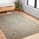 Adelbert Oriental Indoor Rug