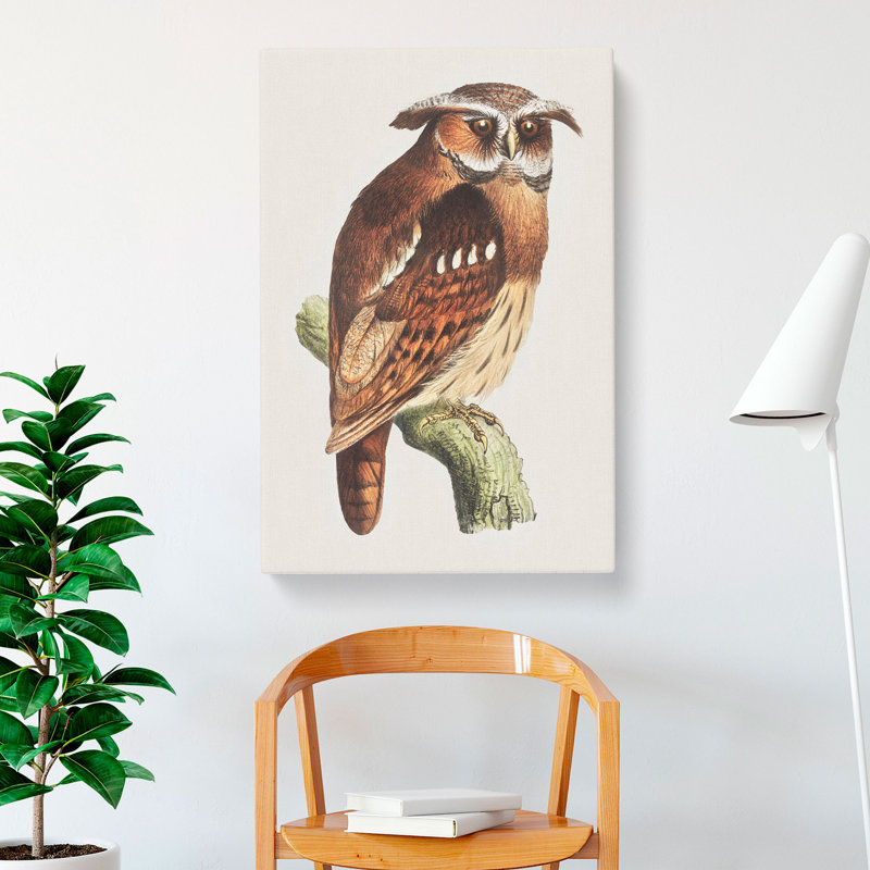 Owl On A Branch by Theo Van Hoytema - Wrapped Canvas Painting, 50cm H x 35cm W x 3cm D