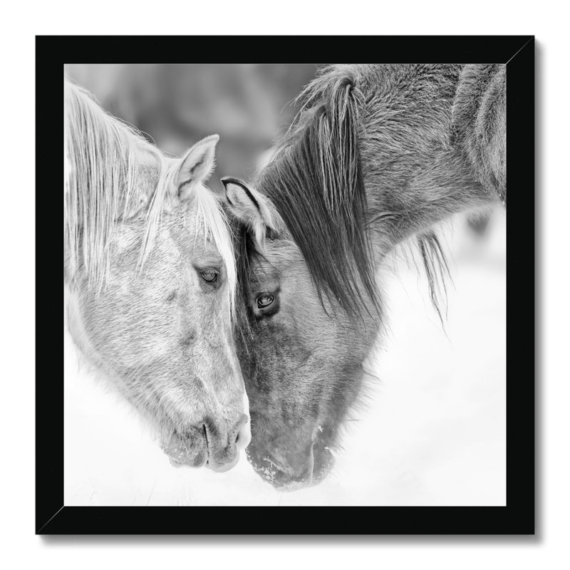 B&W Horses VII by PHBurchett - Print, Black Framed Paper Print, 34cm H x 34cm W